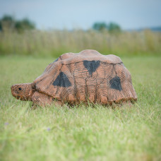 Wildcrete Tortoise